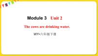 2021学年Unit 2 The cows are drinking water示范课课件ppt