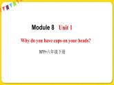 2022年英語外研版六年級(jí)下冊(cè)——Module 8 Unit 1【課件+音頻】