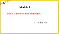 英语Module 1Unit 2 She didn't have a television.教课内容课件ppt