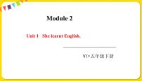 小学英语Unit 1 She learnt English.课文内容ppt课件