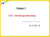 2022年英语外研版五年级下册——Module 3Unit 1【课件+单词音频】