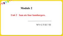 外研版 (三年级起点)五年级下册Unit 2 Sam ate four hamburgers.教课内容ppt课件