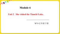 小学英语外研版 (三年级起点)五年级下册Unit 2 She visited the Tianchi Lake.图文课件ppt