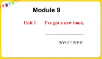 小学英语外研版 (三年级起点)三年级下册Unit 1 I've got a new book.课文课件ppt