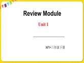 2022年英语外研版三年级下册——Review Module U1课件PPT