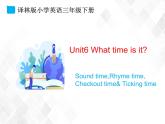译林版三年级下册英语-Unit6 Sound time Song time Checkout time Ticking time(教案+课件+素材+练习及解析)