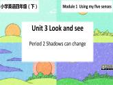 牛津上海版（深圳用）四年級下冊Unit3 Look and see 第2課時（教案 課件）