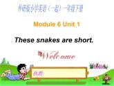 外研版（一年級(jí)起點(diǎn)）一年級(jí)下冊(cè)Module 6 Unit 1 These snakes are short. (3) 課件