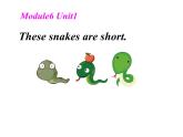 外研版（一年级起点）一年级下册Module 6 Unit 1 These snakes are short. (3) 课件