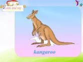 外研版一起小學(xué)英語(yǔ)四下《Module 9Unit 1 Why do you like Australia》PPT課件 (1)