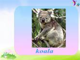 外研版一起小學(xué)英語(yǔ)四下《Module 9Unit 1 Why do you like Australia》PPT課件 (1)