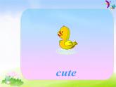 外研版一起小學(xué)英語(yǔ)四下《Module 9Unit 1 Why do you like Australia》PPT課件 (1)