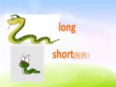 外研版（一起）一下Module 6《Unit 1 These snakes are short》ppt课件5