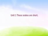 外研版（一起）一下Module 6《Unit 1 These snakes are short》ppt课件2