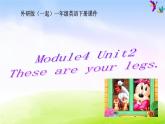 外研版（一起）一下Module 4《Unit 2 These are your legs》ppt课件1