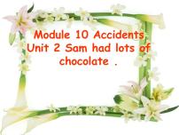 小学英语外研版 (三年级起点)四年级下册Module 10Unit 2 Sam had lots of chocolates.教学演示ppt课件