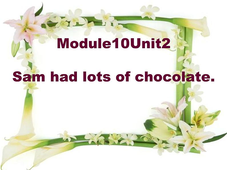 外研版（三起）四下Module 10《Unit 2 Sam had lots of chocolates》ppt课件1第1页