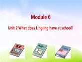外研三下-M6-Unit 2 What does Lingling have at school？课件PPT