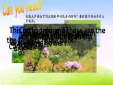 江苏省译林英语4B第4单元Period 2课件PPT
