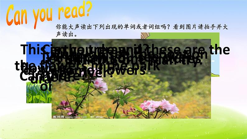 江苏省译林英语4B第4单元Period 2课件PPT03