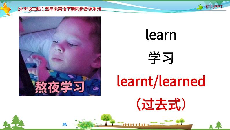 (外研版三起）五年级英语下册同步备课系列 M2-U1 She learnt English课件第5页