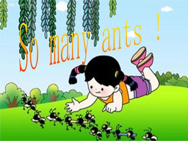 三年级下册英语课件-Lesson W So many ants ∣川教版(三年级起点) (共22张PPT)第1页