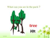 Unit 4 Drawing in the park课件 译林版小学英语四下
