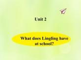 Unit 2 What does Lingling have at school？课件 外研版（三起）小学英语三下