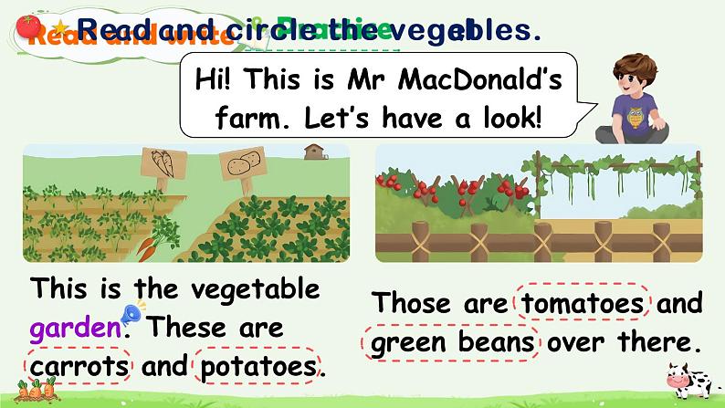 Unit 4 Part B&C 第6课时  课件+音视频素材07