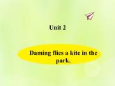 Unit 2 Daming flies a kite in the park课件 外研版（三起）小学英语三下