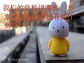 B let's talk课件PPT