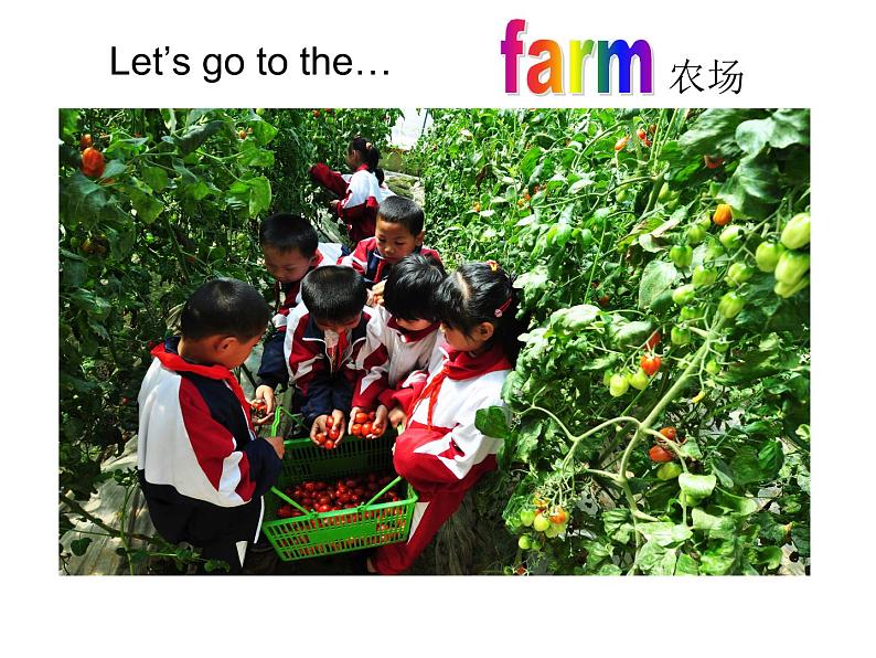 人教PEP版（三年级起点）英语四年级下册-04Unit 4 At the farm-课件04第4页