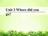 人教PEP版（三年级起点）英语六年级下册-03Unit 3 Where did you go？-课件03