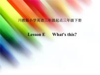 小学英语川教版三年级下册Lesson E What's this?说课课件ppt