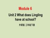 [外研版]英语三年级下册Module 6 Unit 2（课件+素材）