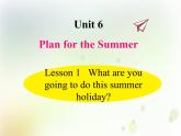 Unit 6 Plan for the Summer 课件PPT+教案+测试卷 鲁科版小学英语五下