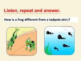 Module 1 外研版（三起）小學英語五下單元課件PPT+教案+測試題