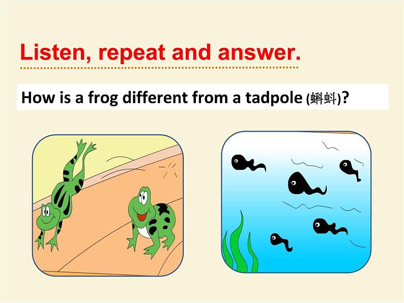 Module 1 外研版（三起）小学英语五下单元课件PPT+教案+测试题05