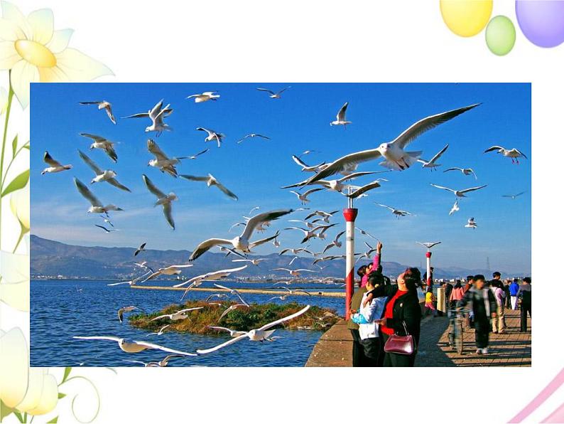 Module 10 外研版（三起）小学英语五下单元课件PPT+教案+测试题04