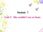 Module 7 外研版（三起）小学英语六下单元课件PPT+教案+测试题