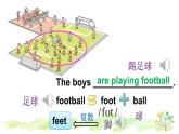 人教精通版英語五年級下冊 Unit 6 Lesson 32PPT課件+教案+練習(xí)