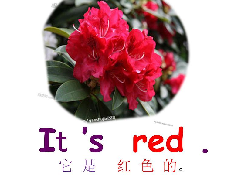 三上《Module 4Unit 1 It's red!》PPT课件04