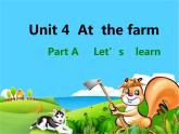 Unit 4 A let's learn课件PPT