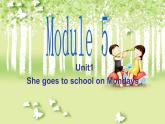 外研版（三起）三下Module 5《Unit 1 She goes to school on Mondays》ppt课件3