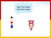 Unit 6 Countries  Lesson 3課件