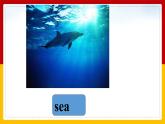 Unit 3 Travel Plans Lesson 1 課件