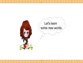 Unit 5 Have a Great Trip Lesson 1精品課件