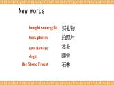 Unit 5 Have a Great Trip Lesson 1精品課件
