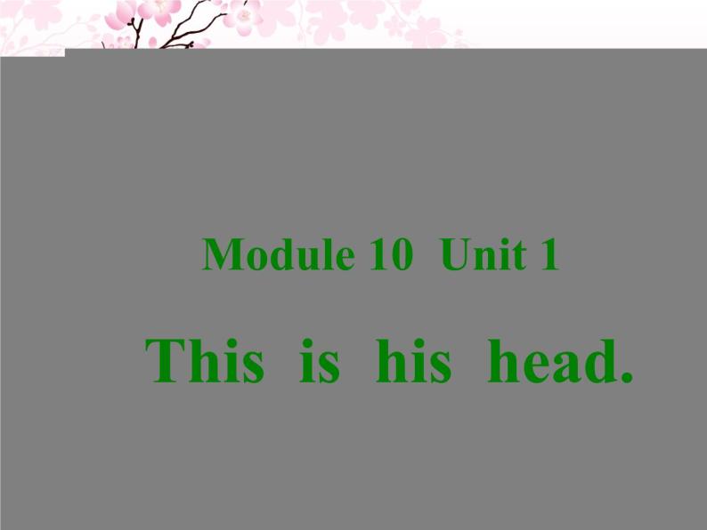 Module 10 Unit 1 This is his head课件PPT01