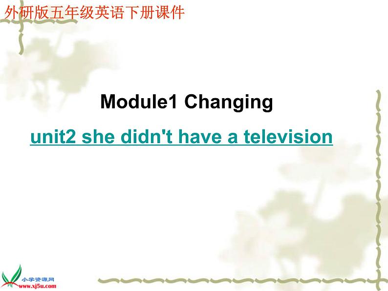 1Unit 2 She didn 't have a television.课件PPT第1页